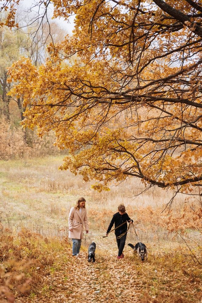 Осенняя прогулка