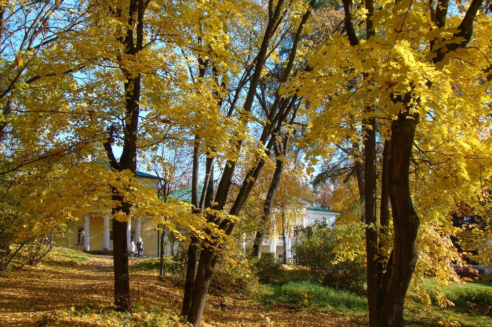 Осень в усадьбе