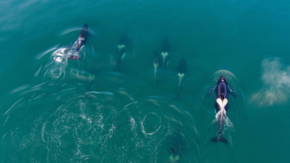 Photograph by Суворов Алексей