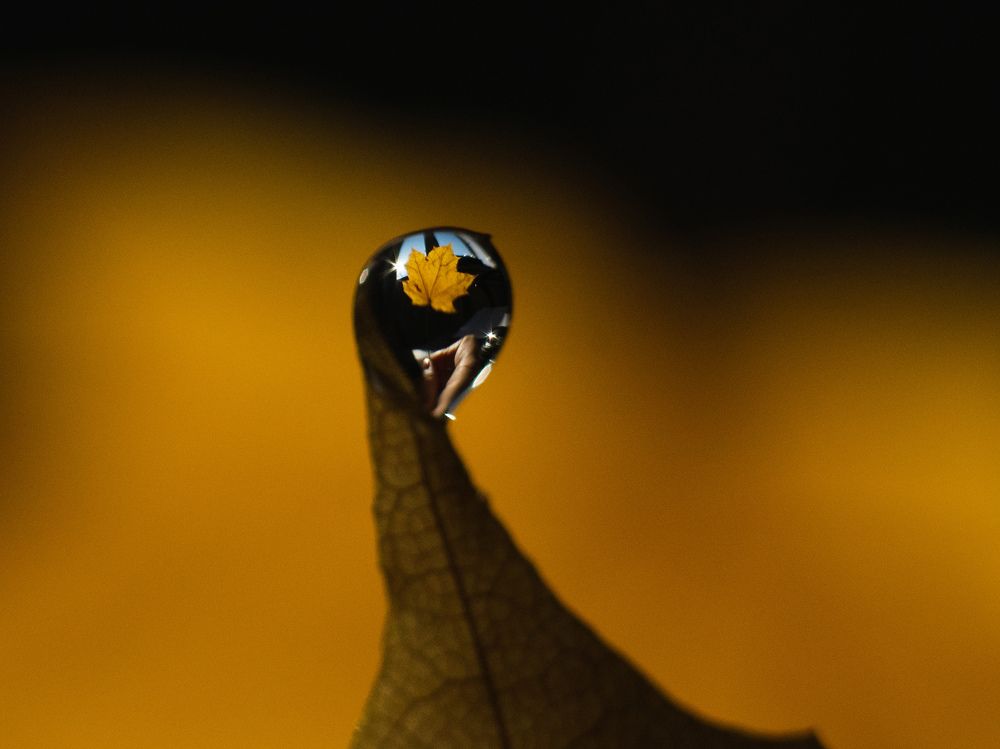 Фотография автора Мария Александрова