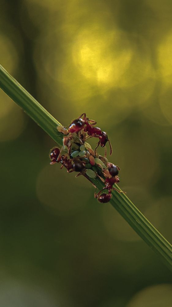 Фотография автора Марина Алексеевская