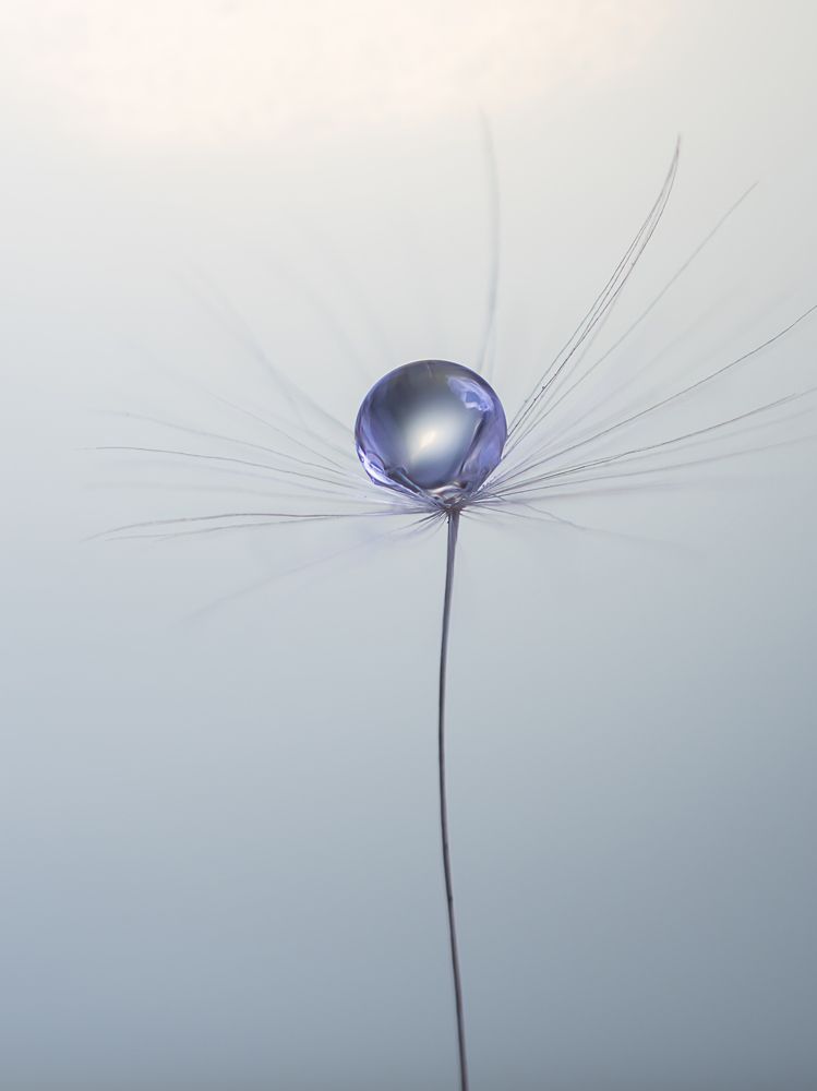 Фотография автора Мария Александрова