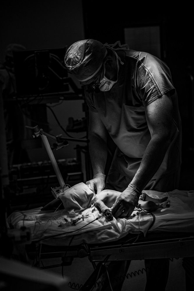 Photograph by Суворов Алексей