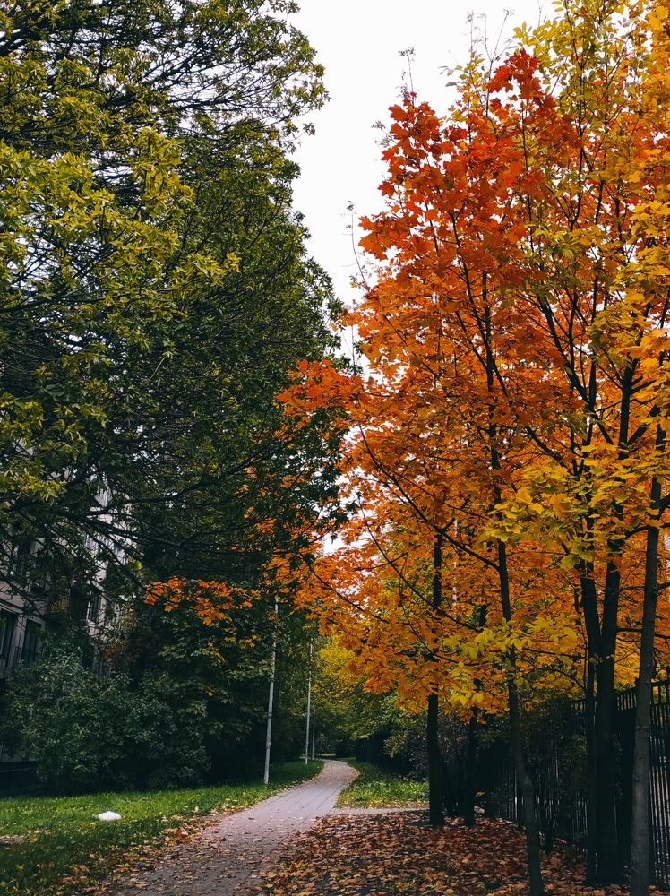 Фотография автора Марина Алексеевская