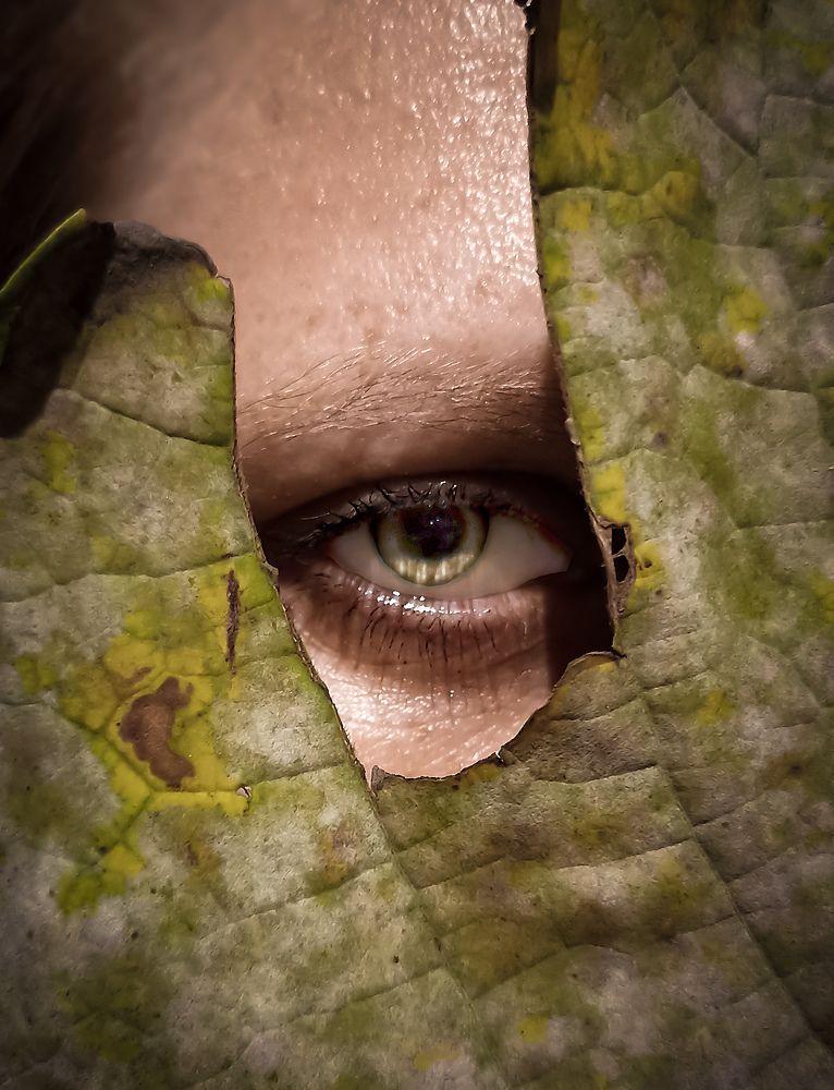 Photograph by Олег Осокин