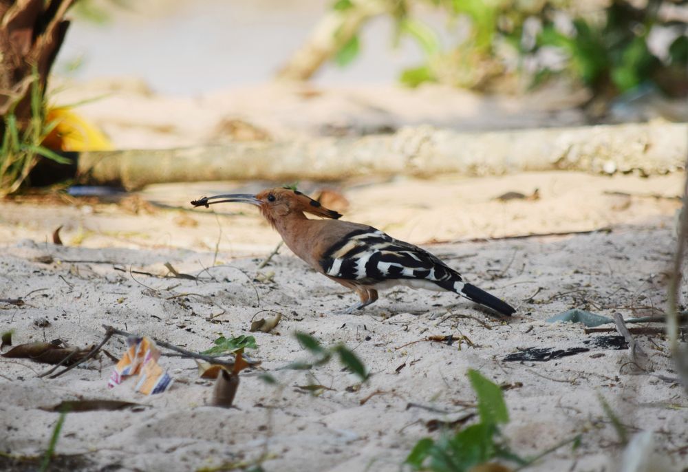 Photograph by Наталья Ченчикова