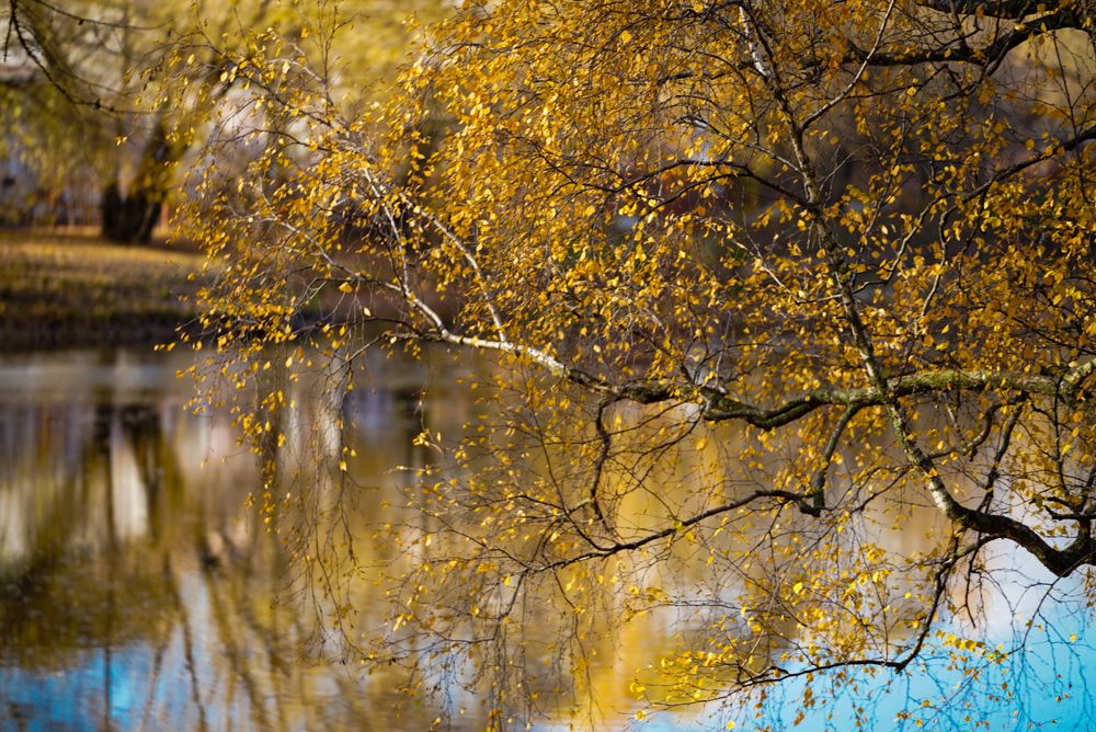 Photograph by Галина Аскольдовна Луковникова