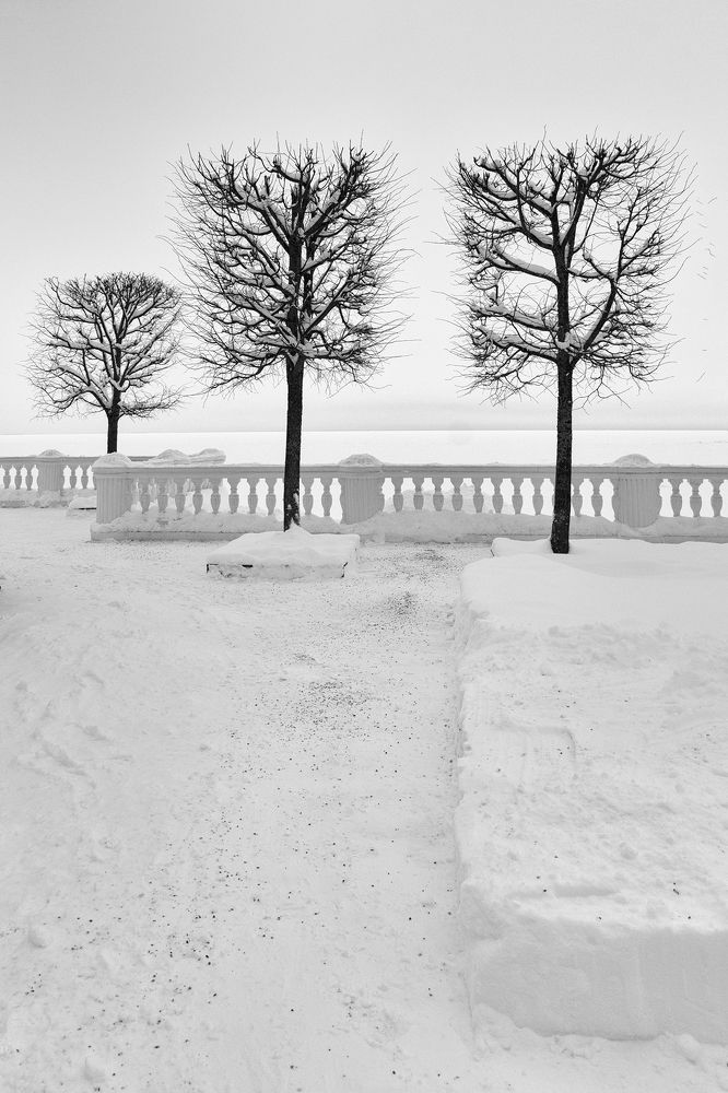 Photograph by Светлана Воробьёва