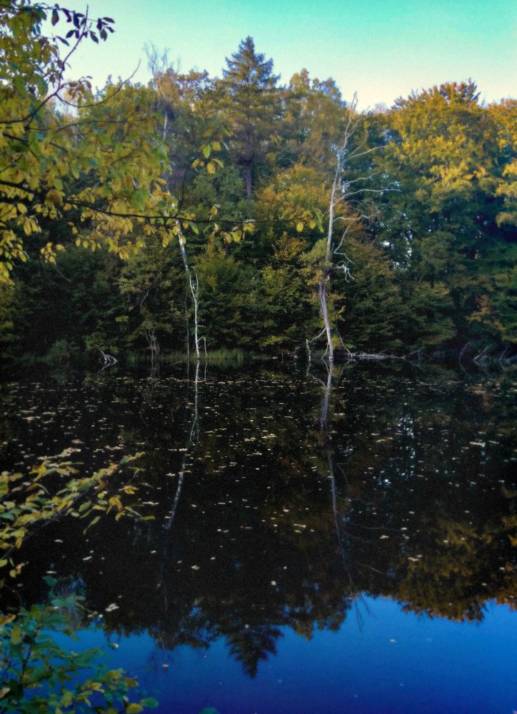 Photograph by андрей гусев