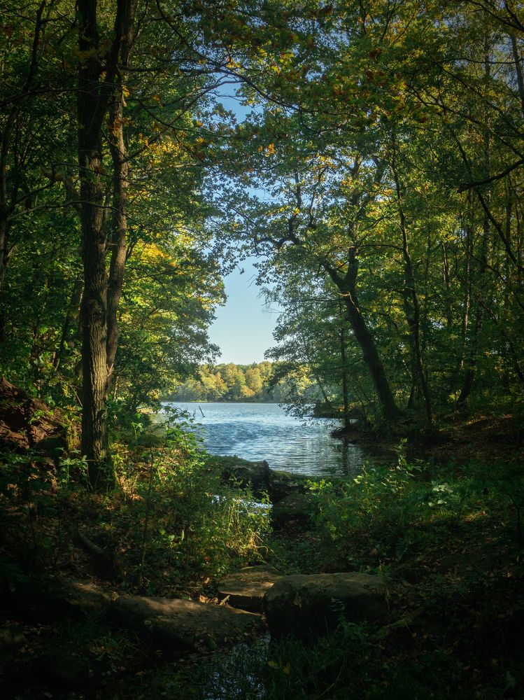 Photograph by андрей гусев