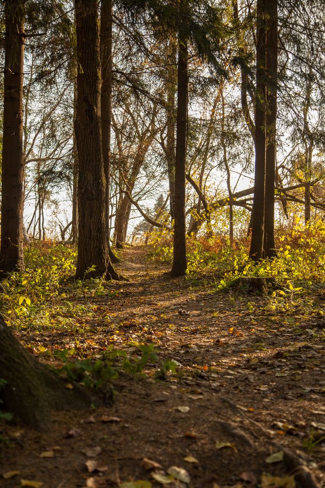 Photograph by Максим Бритько