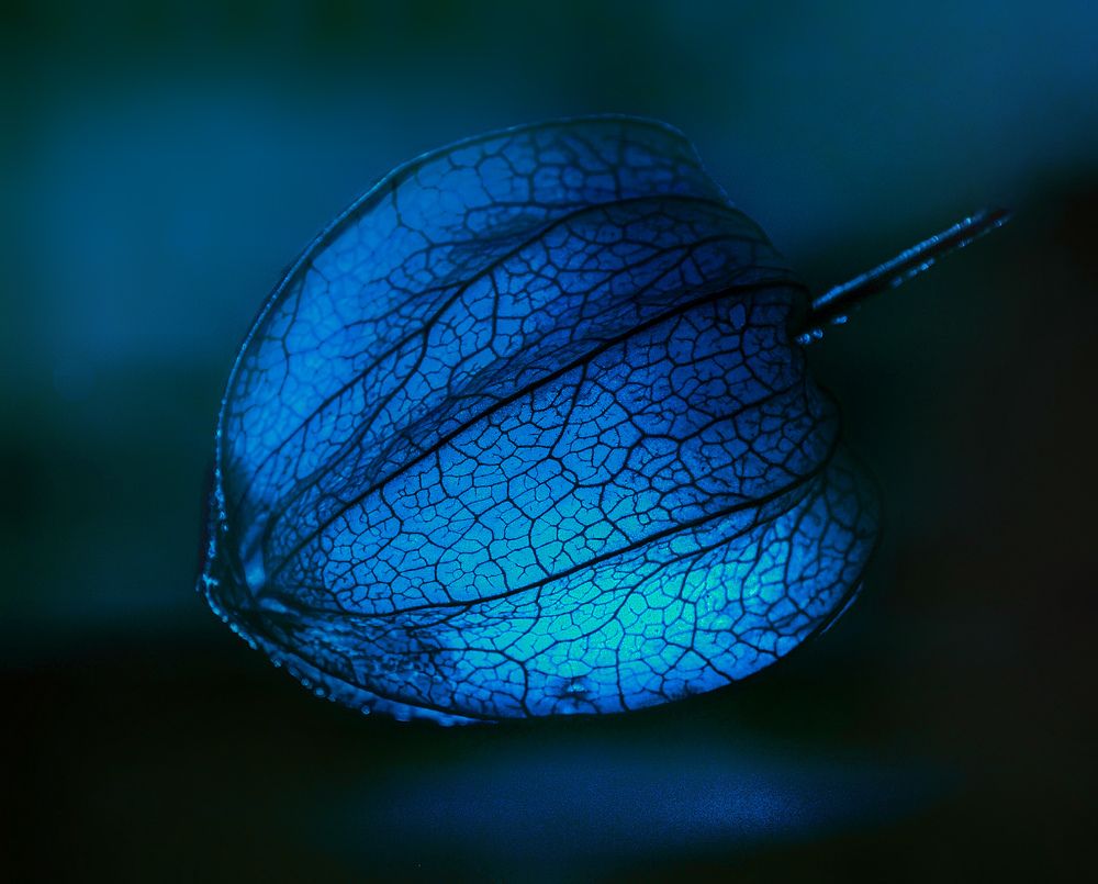 Photograph by Татьяна Сытова