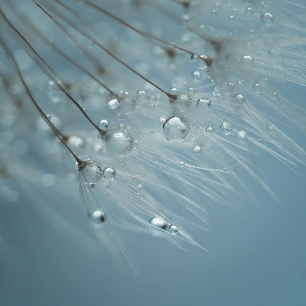 Фотография автора Мария Александрова