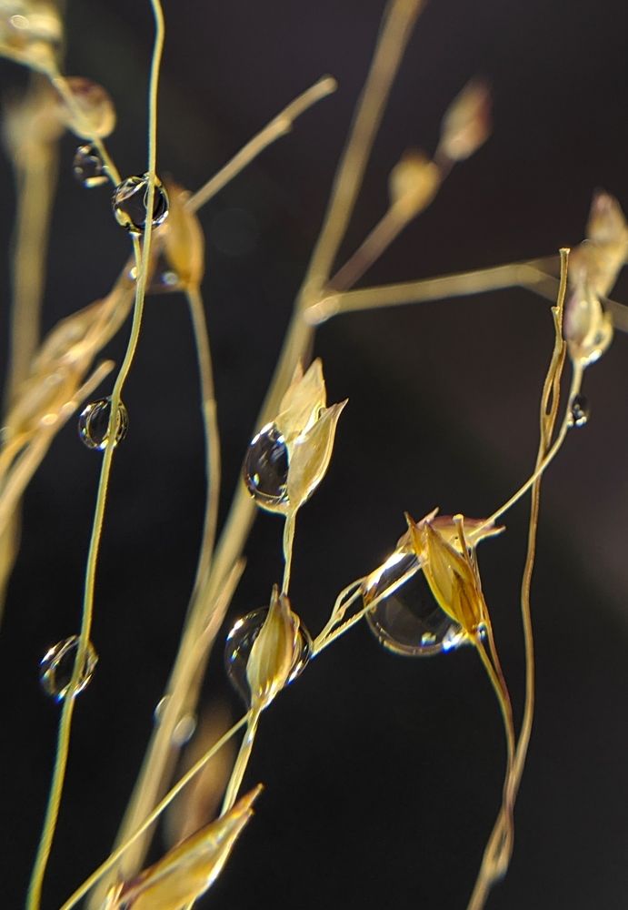 Photograph by Татьяна Сытова