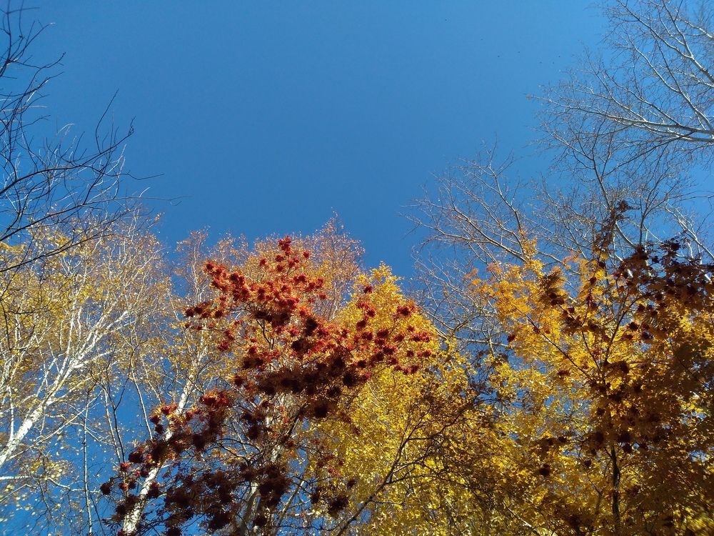 Photograph by СТЕПАН ДЖУЛАКИДЗЕ