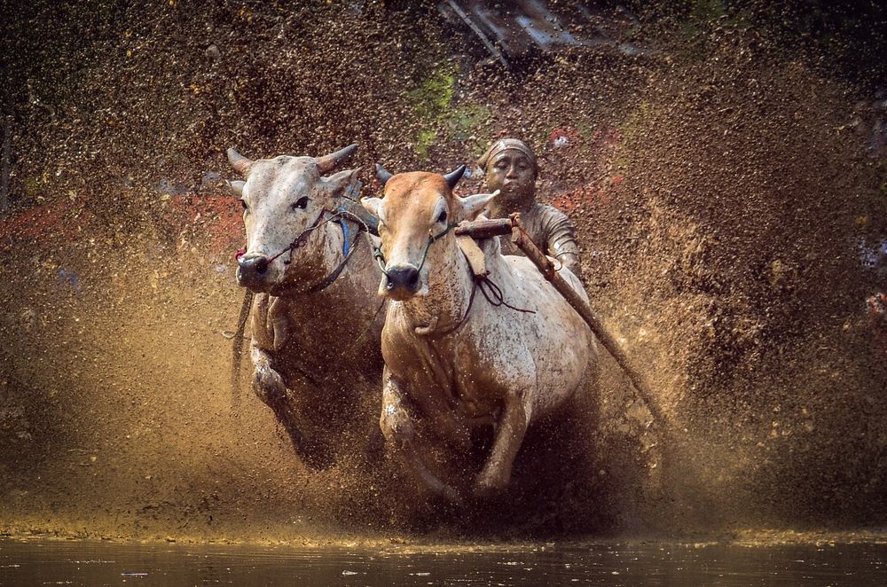 Photograph by Ridwan Read Ridwan