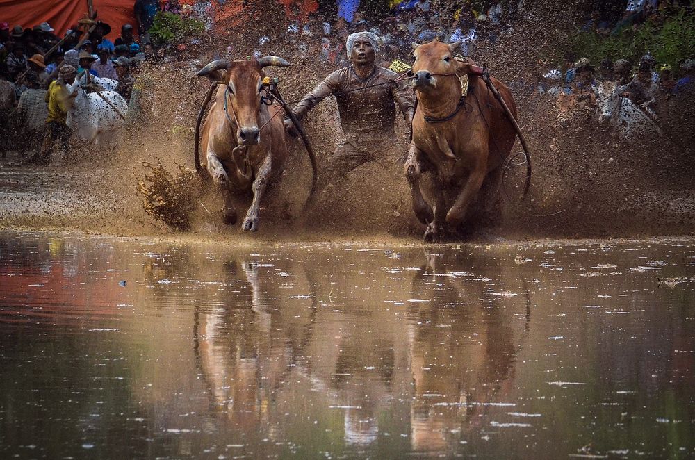 Photograph by Ridwan Read Ridwan