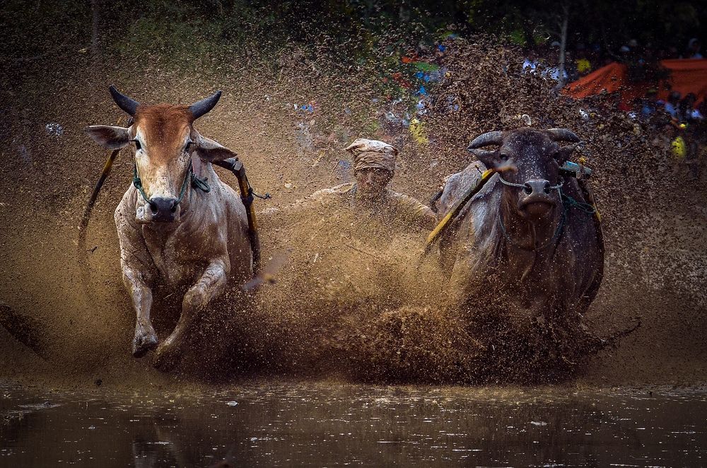 Photograph by Ridwan Read Ridwan