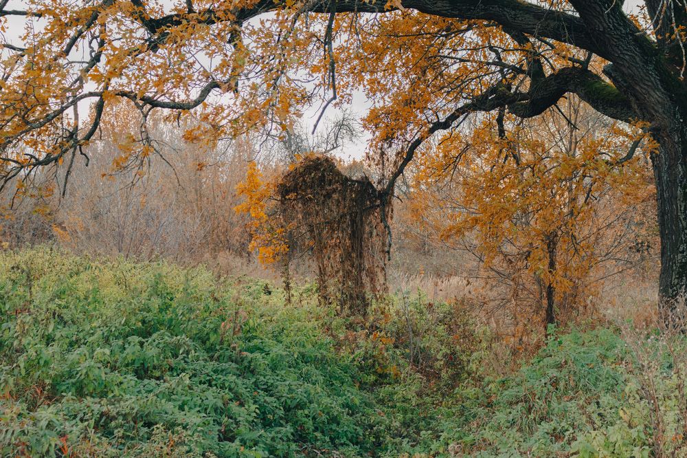 Photograph by Иван Григорьев