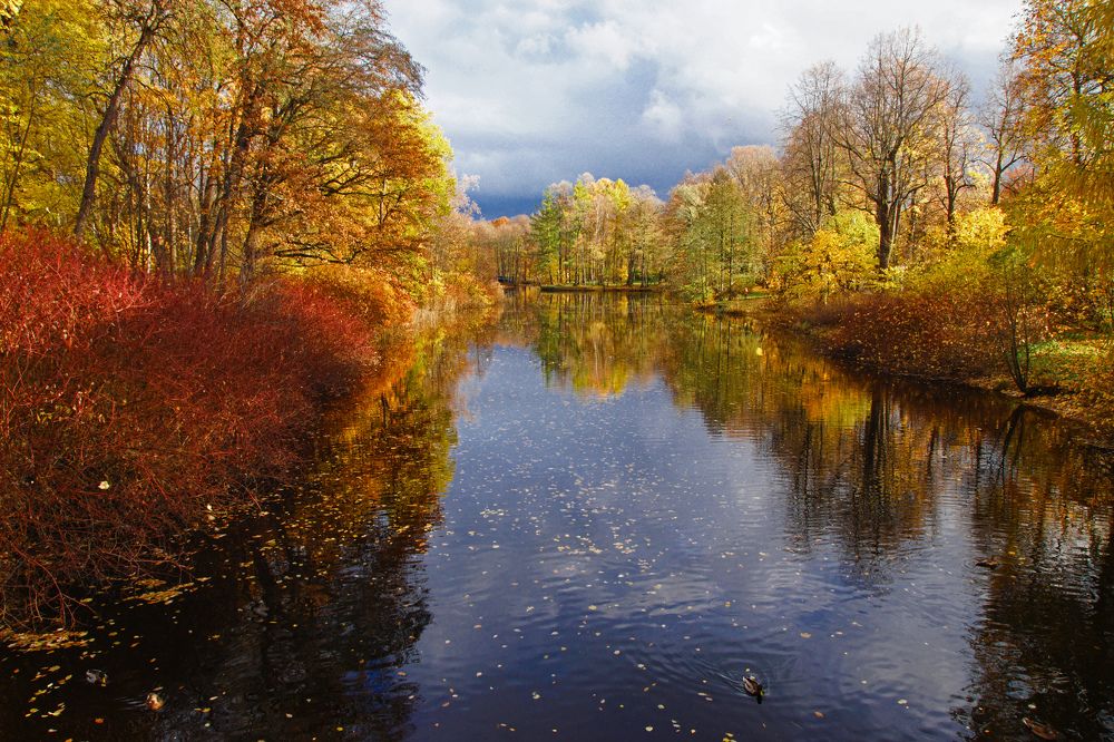 Photograph by Анна Васильева