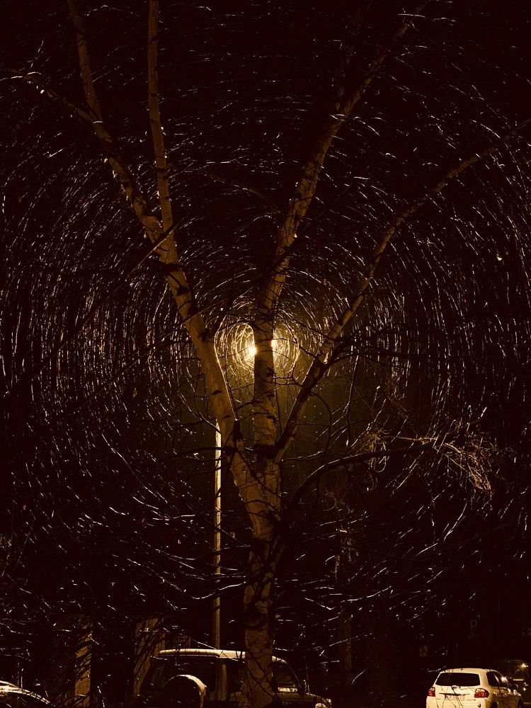 Photograph by Anna Spiridonova