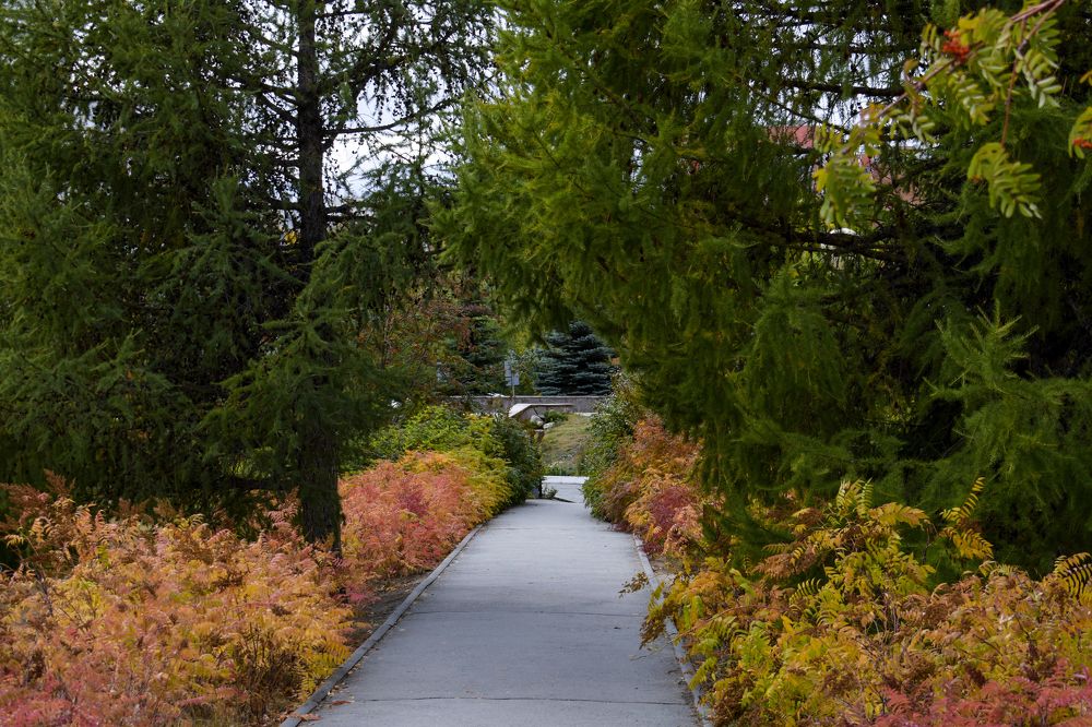 Фотография автора Катрин Евстратова