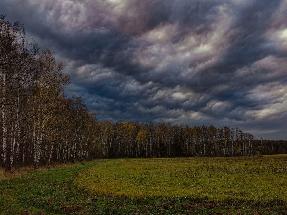Photograph by Владимир Супонев