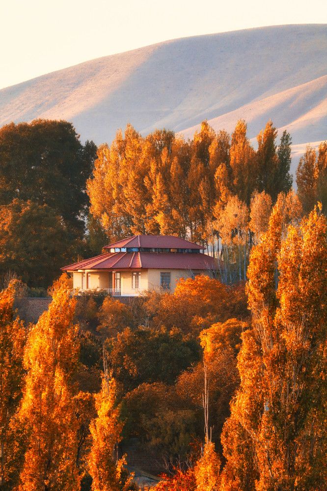 Photograph by javad abolhassani