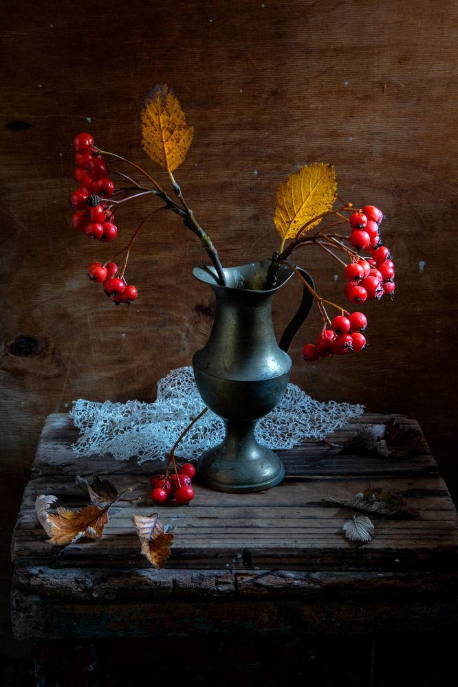 Photograph by 