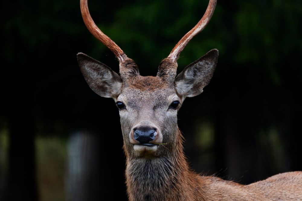 Photograph by Galina