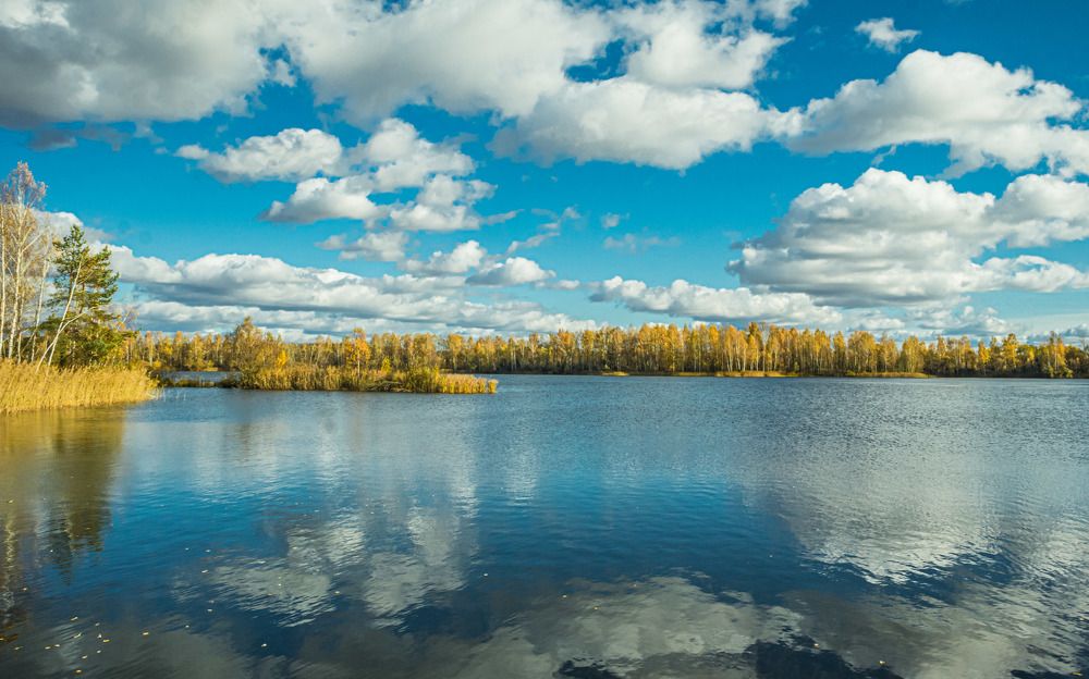 Фотография автора Екатерина Счасная