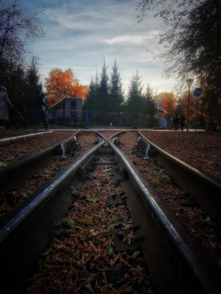 Photograph by Ольга Мажарук