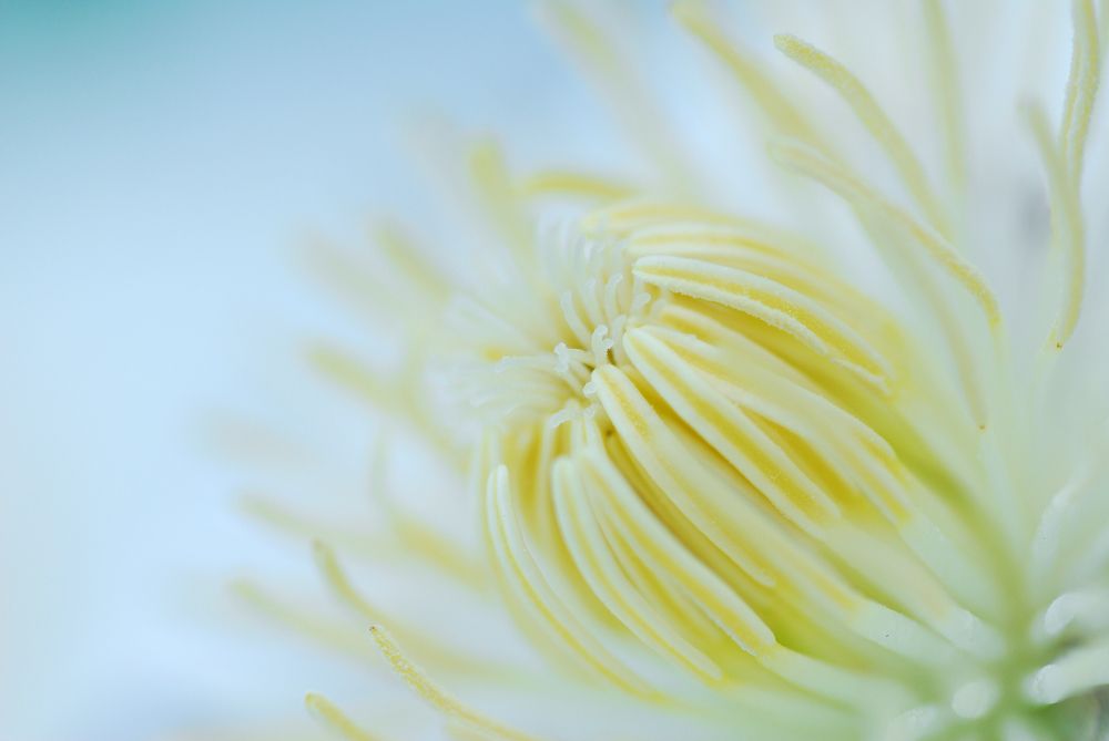 Photograph by mypure heart