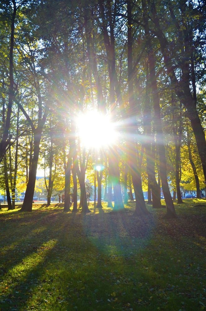 Photograph by Тамара Павлова