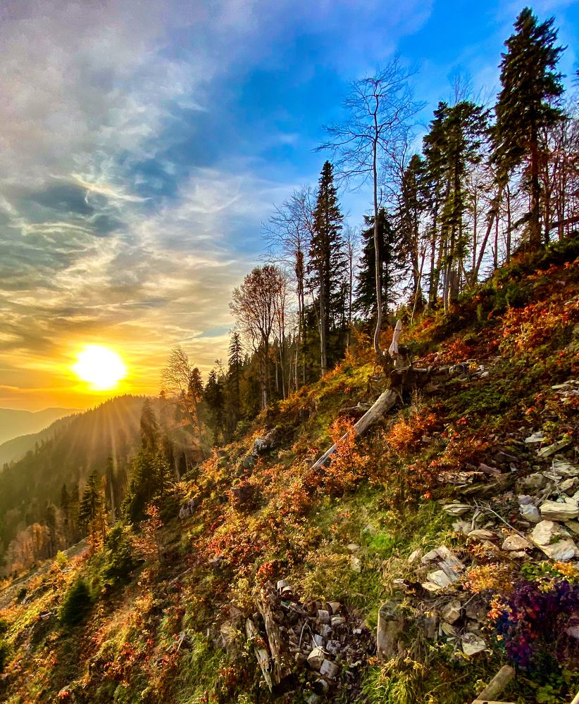 Photograph by Irina Usacheva