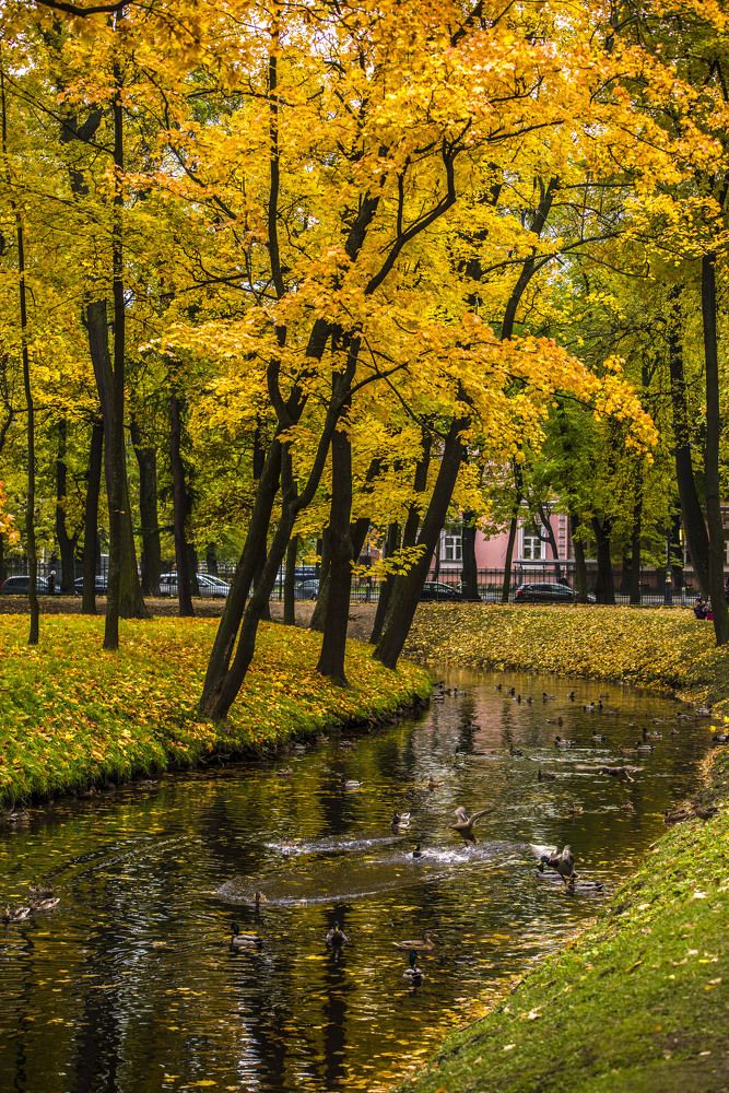 Photograph by Irina Usacheva