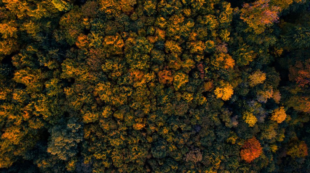 Photograph by Sebastian Bundschuh