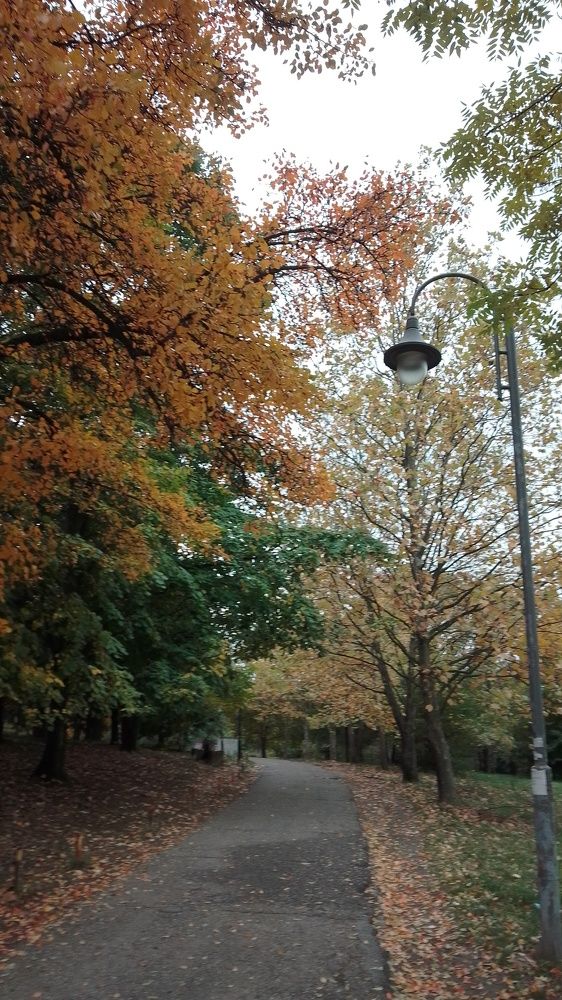 Photograph by Dragana Joksić