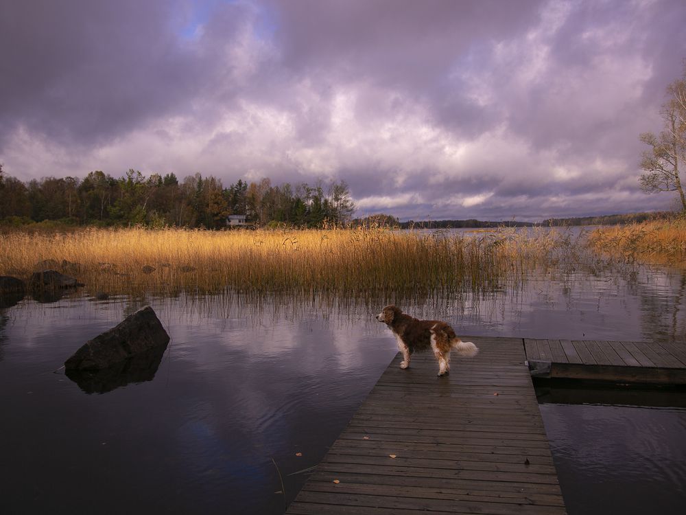 Photograph by Liudmila Drake