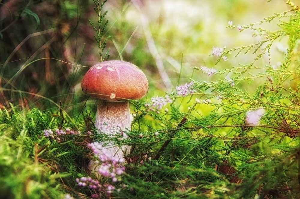 Фотография автора Юлия Кранина