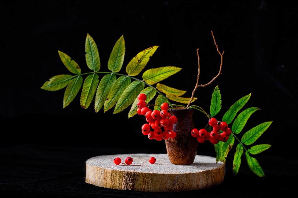 Photograph by Людмила Аксенова