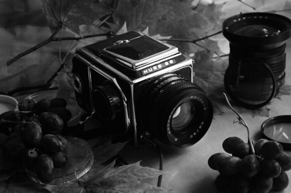 Photograph by Татьяна Аршинова