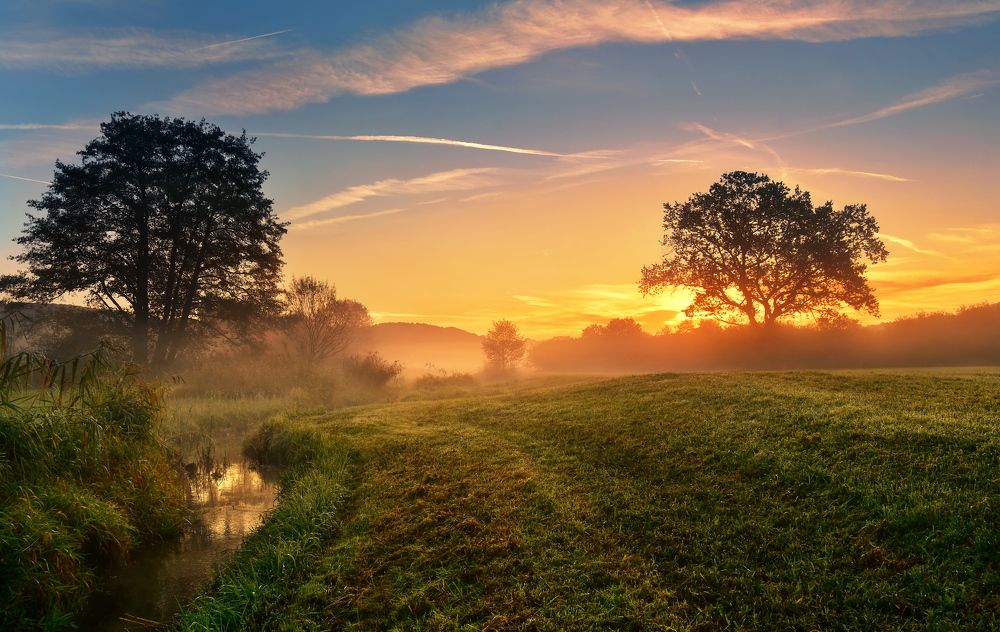 Photograph by Elena Wymann