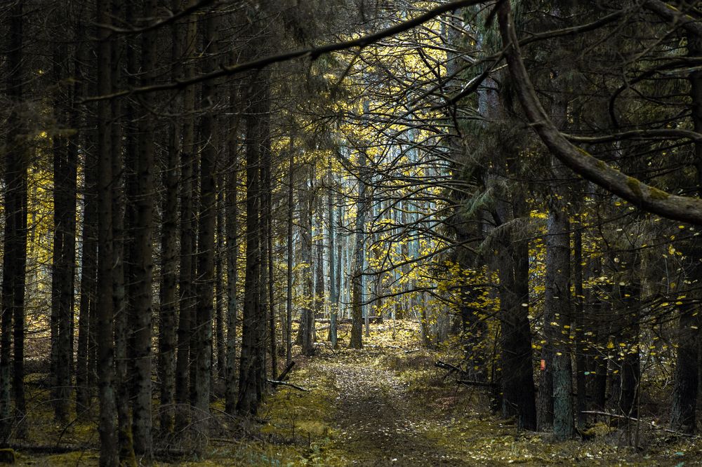 Photograph by Rolandas Valančauskas