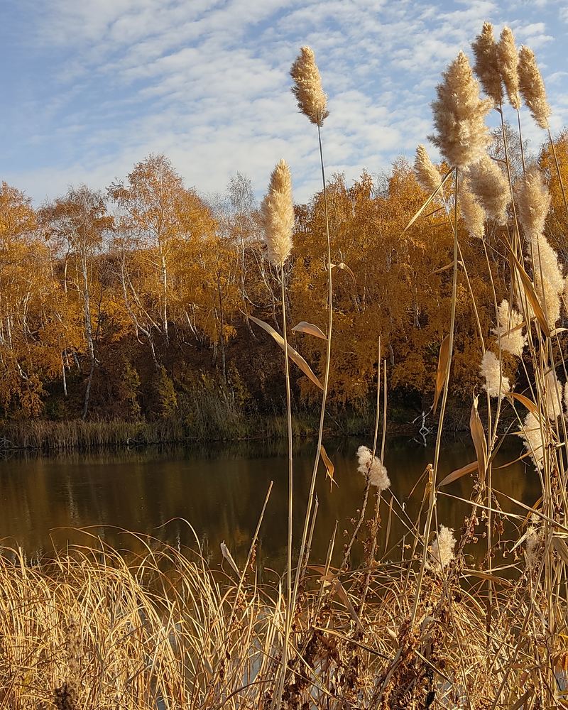 Photograph by Валентин Волк