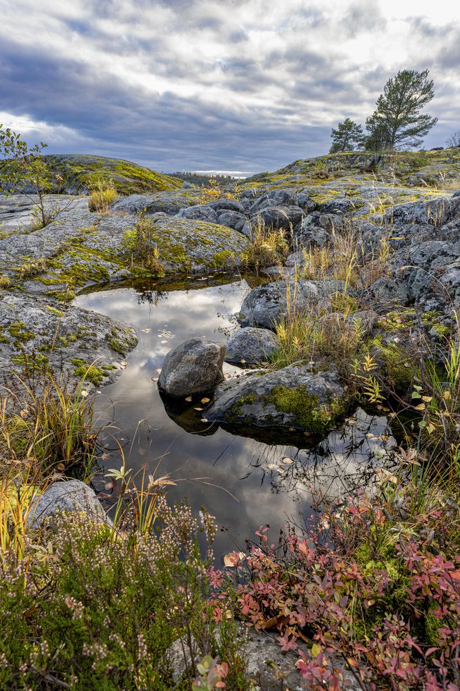 Photograph by Юрий Чернов