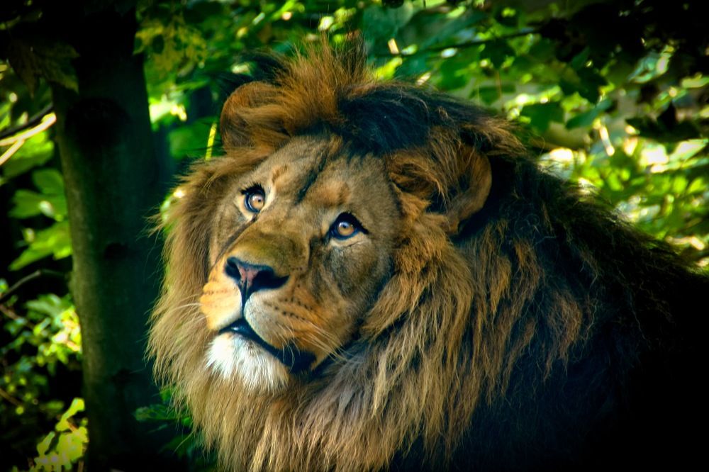 Фотография автора Jaroslav Hanzalík