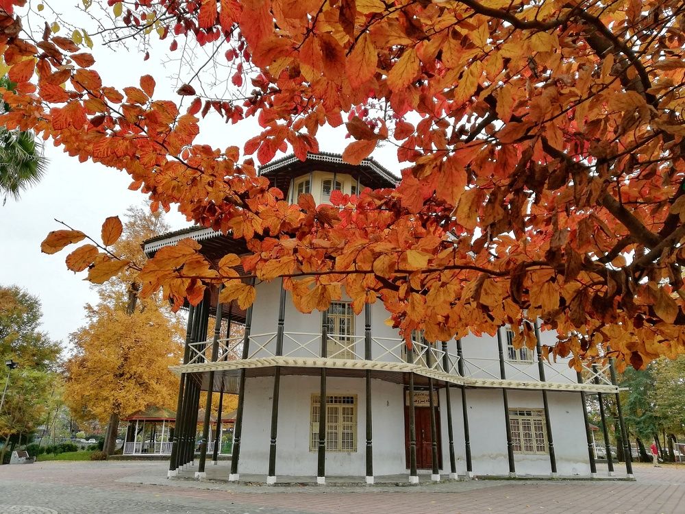 Photograph by yousef z shima