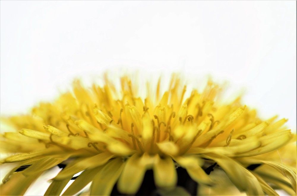 Фотография автора Альбина Хвастунова