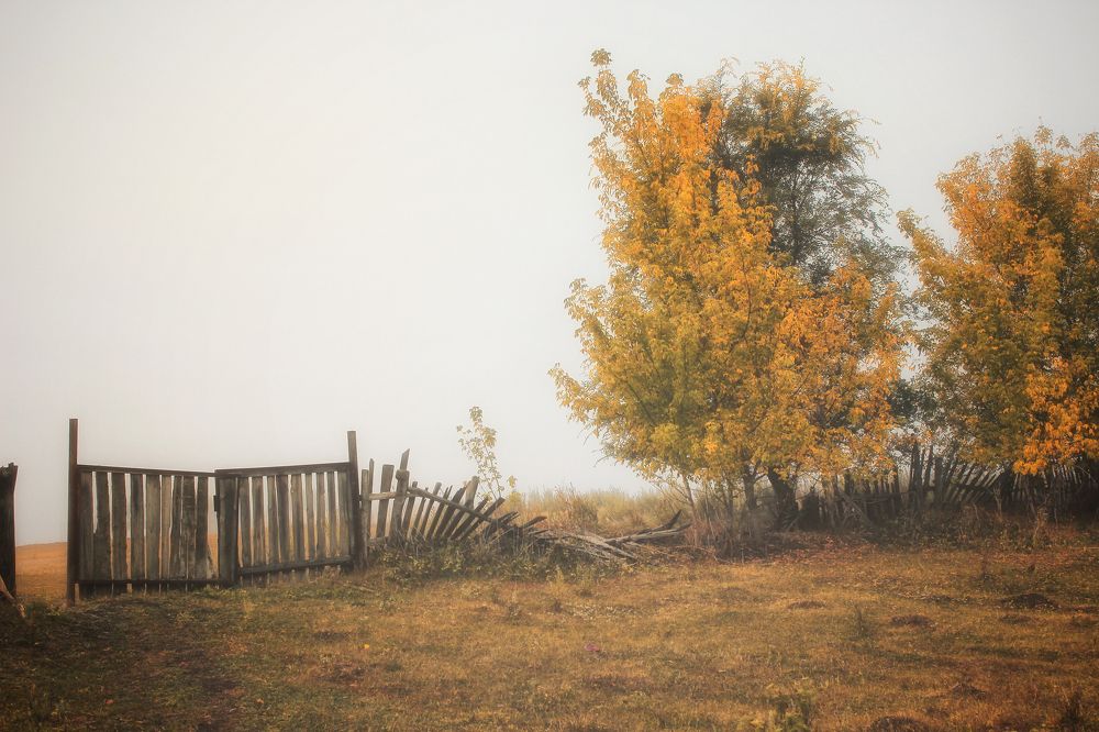 Photograph by Vitaliy Saposhnikov